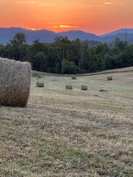 More Photos Of Flatwoods Road, Mosheim Land For Sale