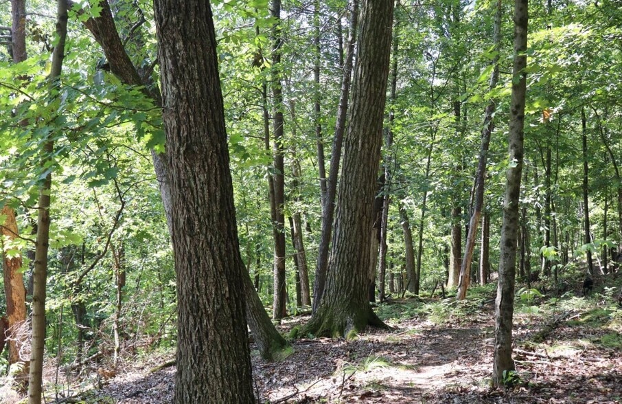 More Photos Of 2050 Sawkill Ruby Rd, Kingston Land For Sale