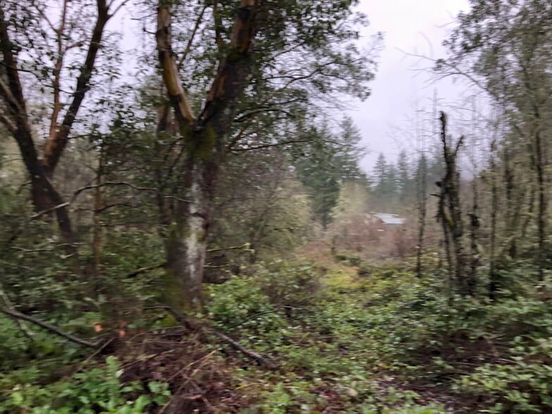 More Photos Of 5XXX Werner, Bremerton Land For Sale