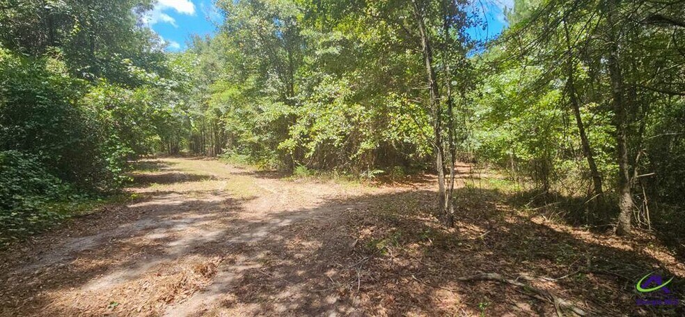 More Photos Of 21.20 Acres Priest Road, Vienna Land For Sale