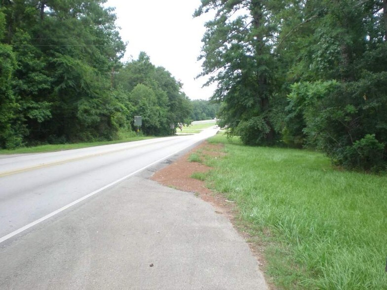 Primary Photo Of 15880 Highway 75, Willis Land For Sale