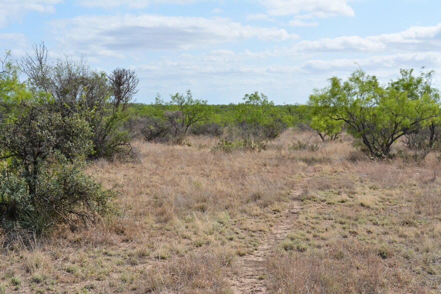 More Photos Of CR 1329, Paint Rock Land For Sale