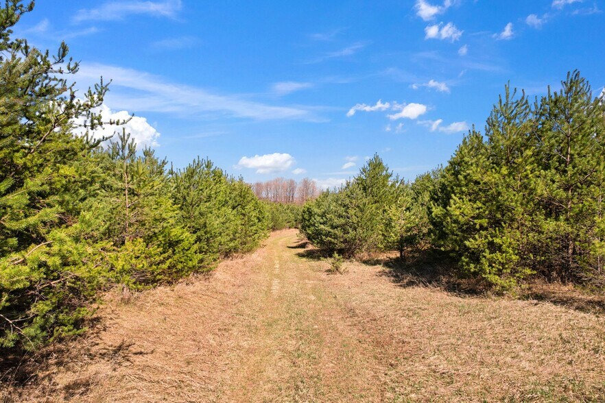 More Photos Of 9553 18 1/2 Rd, Manton Land For Sale