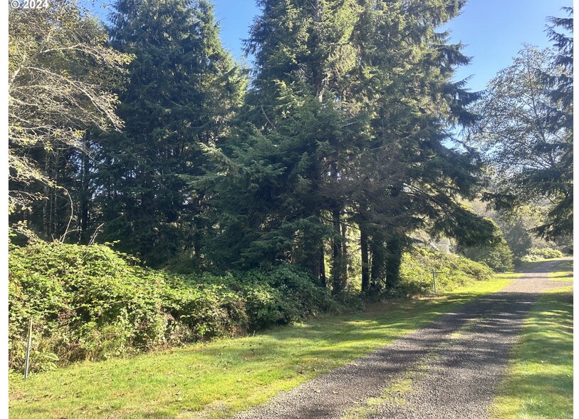 Primary Photo Of 490 Lagoon Street, Rockaway Beach Land For Sale