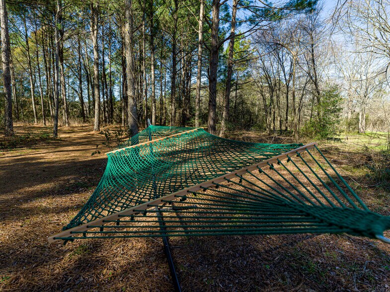 More Photos Of 11201 County Road 203, Plantersville Specialty For Sale