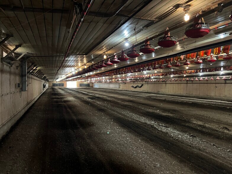 Primary Photo Of 25398 AL Highway 71, Flat Rock Land For Sale