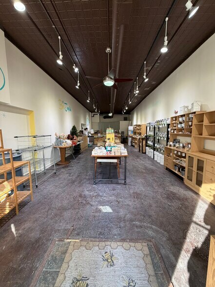 More Photos Of 245 S Kalamazoo Mall, Kalamazoo General Retail For Lease