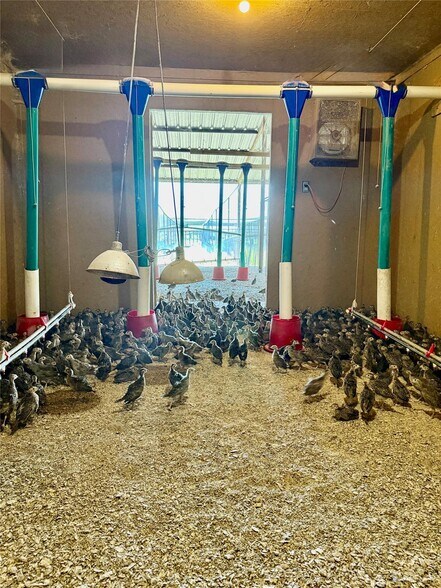 More Photos Of 1500 Lumkins rd, Forreston Land For Sale