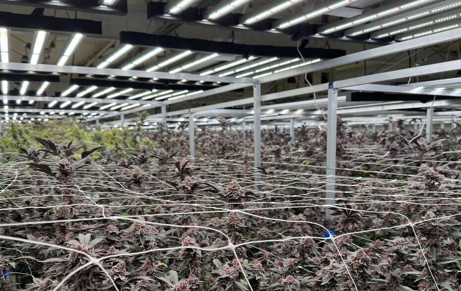 More Photos Of 947 N Buffington Rd, Sallisaw Warehouse For Sale