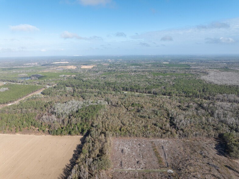 More Photos Of TBD 137, Wellborn Land For Sale