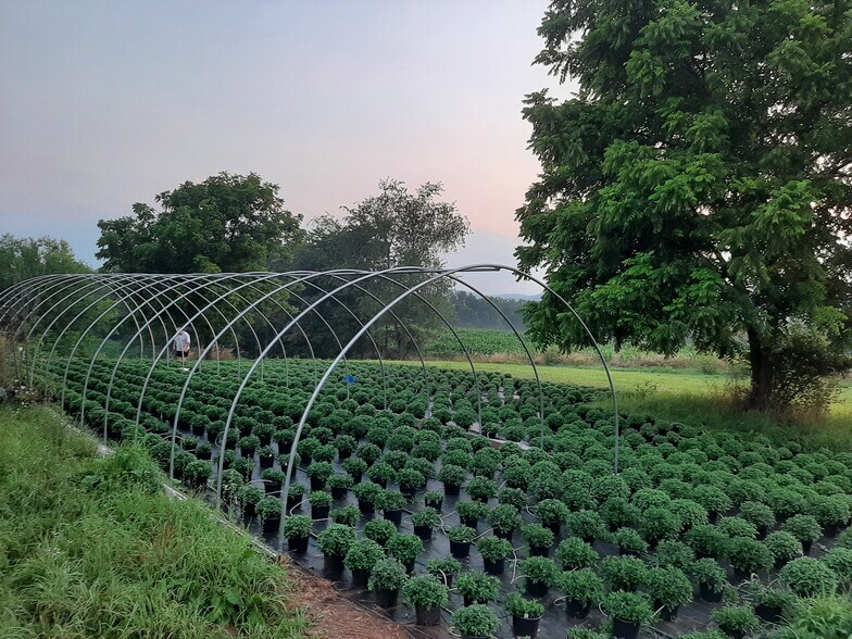 More Photos Of 1814 Iron Bridge Rd, Hustontown Contractor Storage Yard For Sale