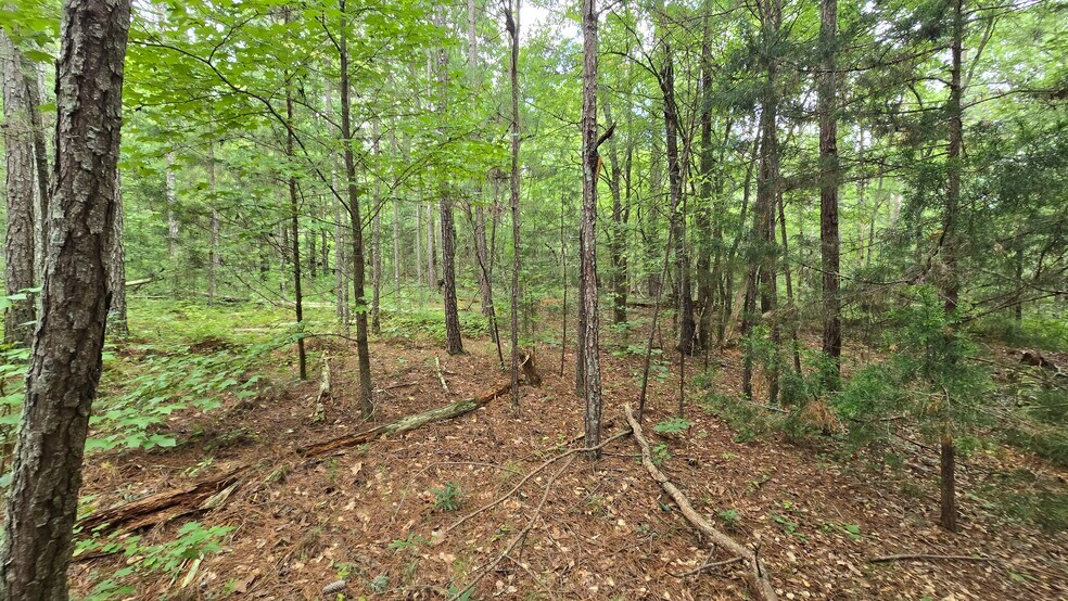 More Photos Of 5171 Ga Highway 138, Loganville Land For Sale