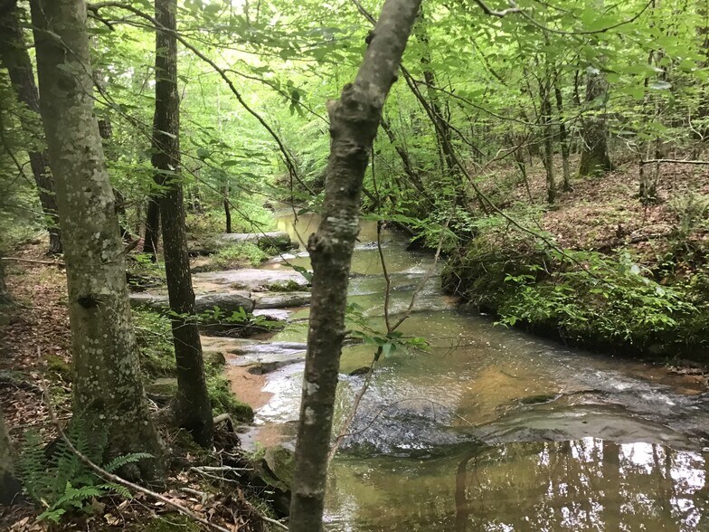 More Photos Of 0 Tom Wright Rd, Franklinton Land For Sale