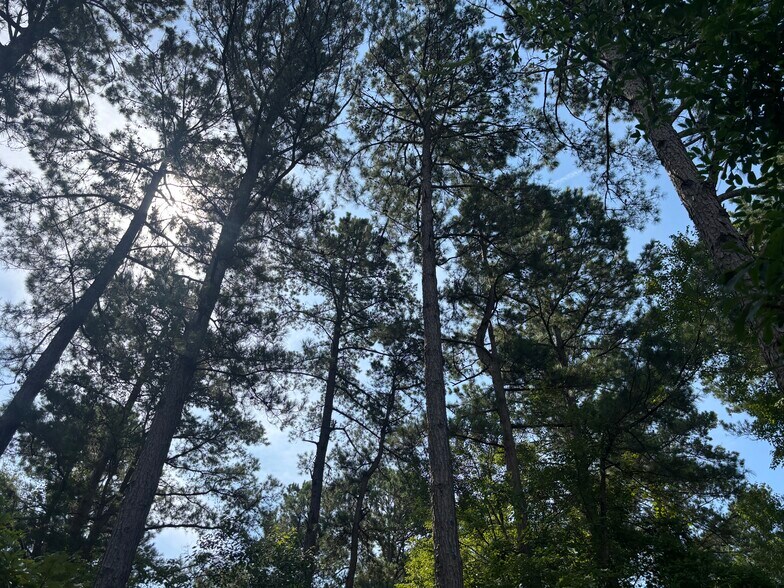 More Photos Of 2539 FM 995, Atlanta Land For Sale