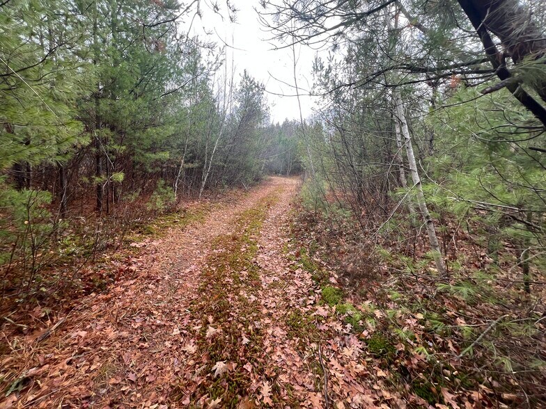 More Photos Of 171 Pine River Rd, Effingham Hospitality For Sale