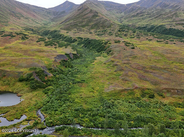 More Photos Of 000 Dutch Creek Gold Mine, Trapper Creek Land For Sale