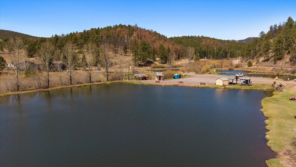 More Photos Of , Pine Land For Sale