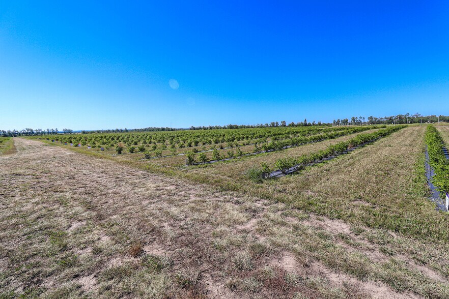 More Photos Of 705068 82 -1, Wembley General Retail For Sale