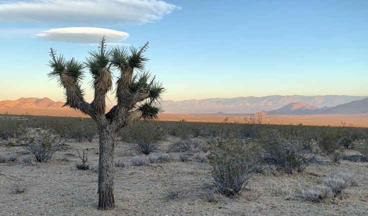 Primary Photo Of 0 Meander Rd, Lucerne Valley Land For Sale