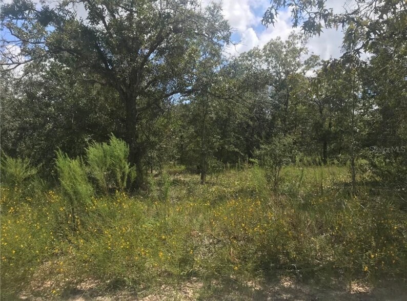 More Photos Of 6879 Wanderlust Point, Homosassa Land For Sale