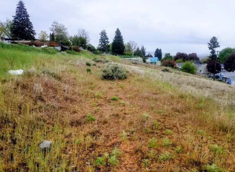 More Photos Of 222 Kenwood st, Omak Land For Sale