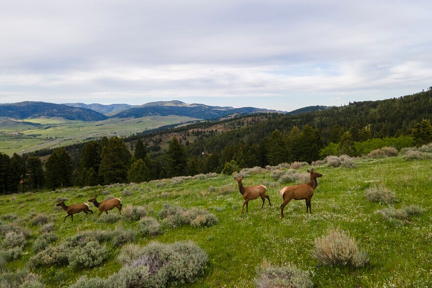 More Photos Of 2 Trail Creek Rd, Bozeman Land For Sale