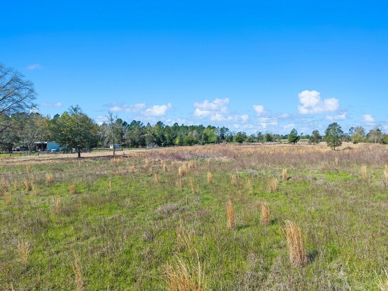 More Photos Of 33951 Lee Rd, Robertsdale Land For Sale