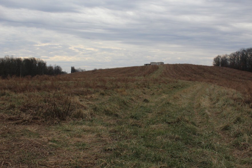More Photos Of Bruce Johnson Rd, Herod Land For Sale