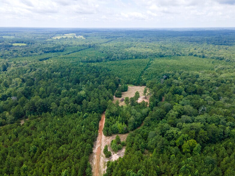 More Photos Of 2539 FM 995, Atlanta Land For Sale