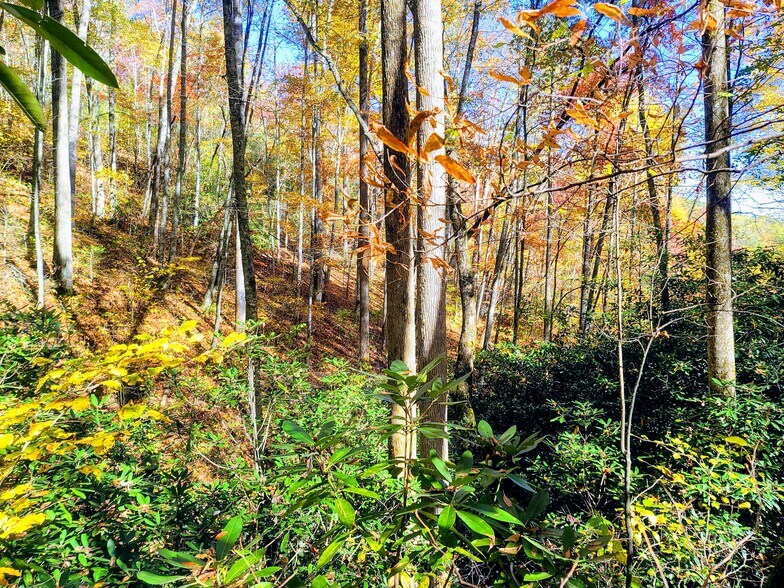 More Photos Of 00 Bettys Creek, Sylva Land For Sale