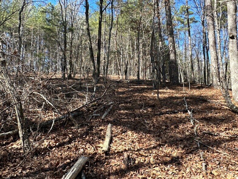 More Photos Of 3472 Prior Station Rd, Cedartown Land For Sale