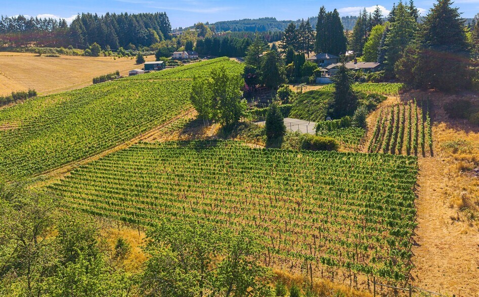 Primary Photo Of 21360 SW Hillsboro Hwy, Newberg Winery Vineyard For Sale