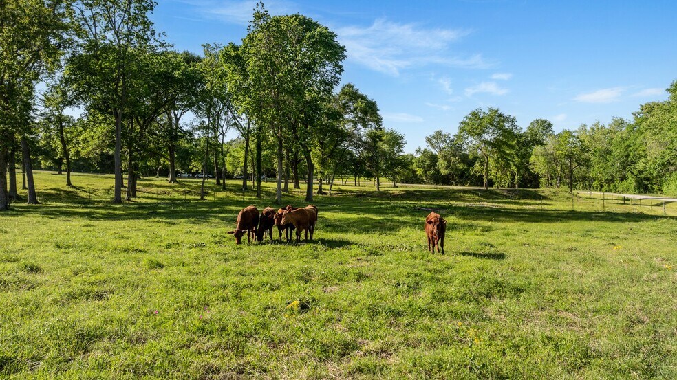 More Photos Of 2355 Jackson League Cir, Brenham Lodge Meeting Hall For Sale