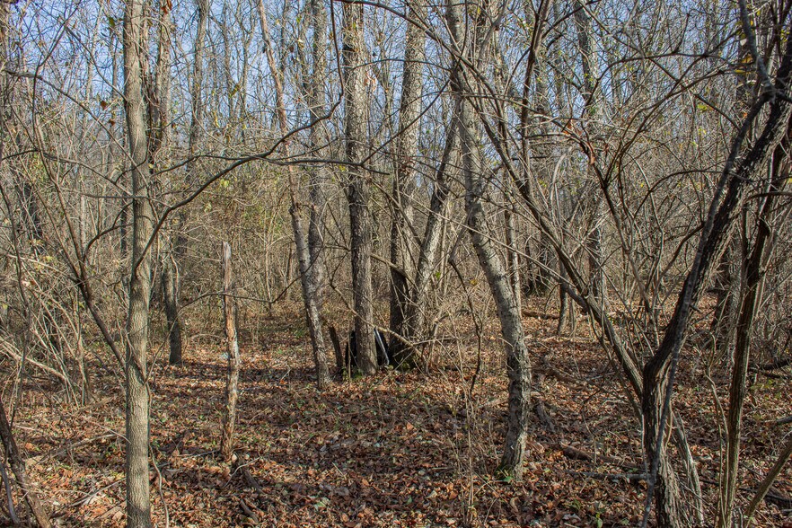 More Photos Of Remainder T.M Opequon Connector rd, Kearneysville Land For Sale