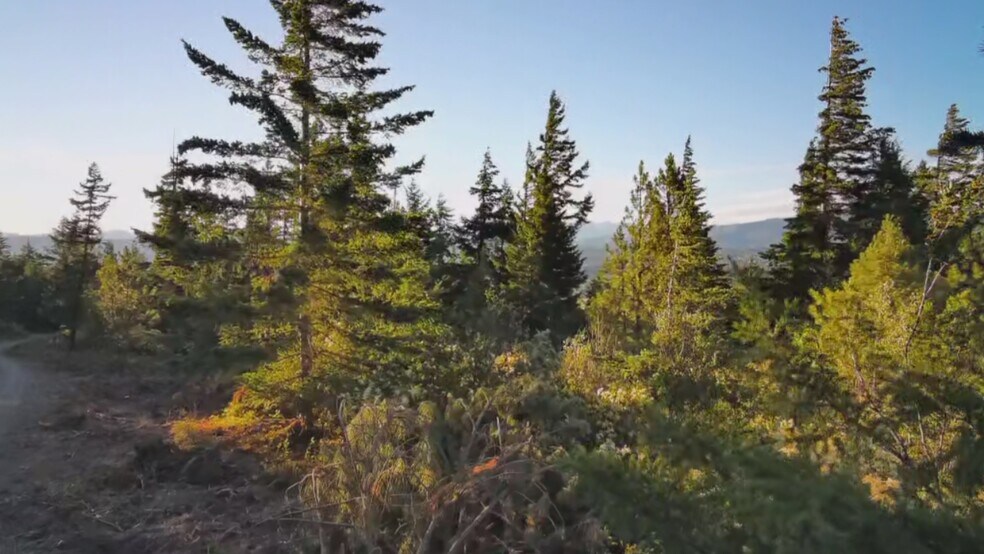 More Photos Of 8440 Upper Peoh Point Rd, Cle Elum Land For Sale