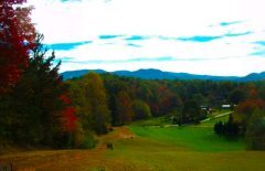 More Photos Of 850 Bluff Rd, Marble Land For Sale