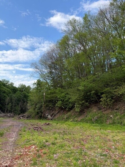 More Photos Of 123 Laurel St, Jim Thorpe Industrial For Sale