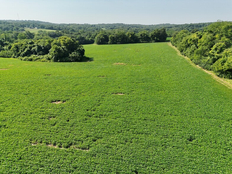 More Photos Of Walnut Hill Ln. (36.31+/- Acres), Elsberry Land For Sale