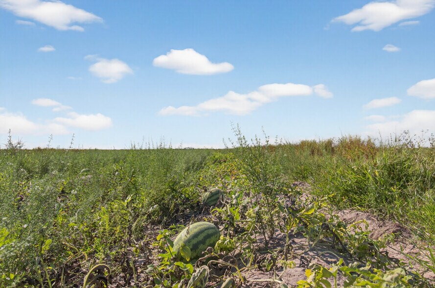 More Photos Of 8476 Ten Mile Grade, Zolfo Springs Land For Sale