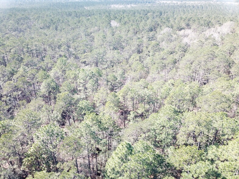 More Photos Of Corrigan Road, Vidor Land For Sale