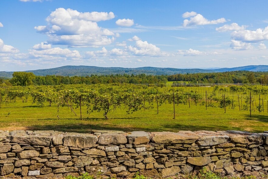 More Photos Of 1950 Collins Rd, Halifax Winery Vineyard For Sale