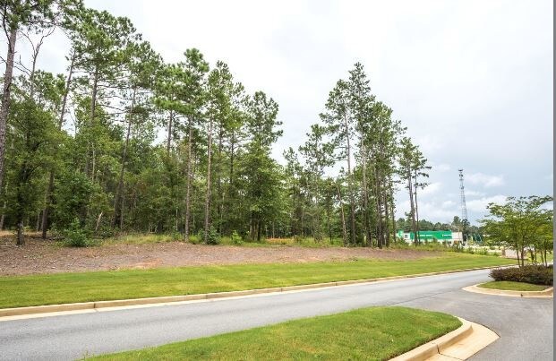 More Photos Of 3051 Williams Rd, Columbus Land For Sale