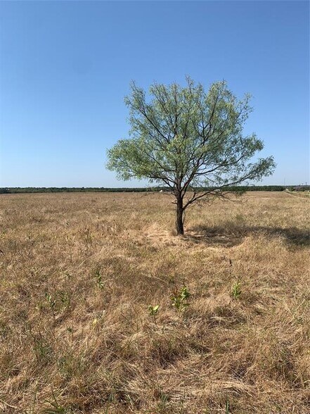 More Photos Of TBD League Rd, Rockwall Land For Sale