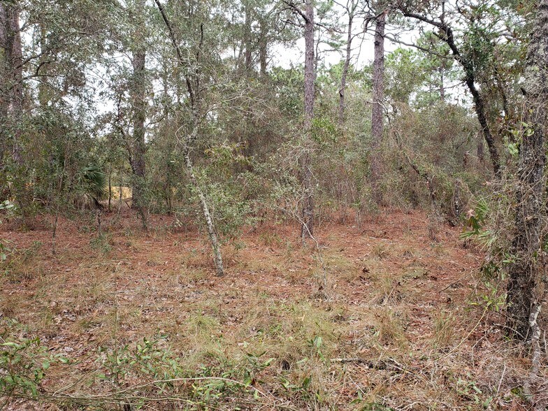 More Photos Of Horn Ave @ Summer St., Brooksville Land For Sale