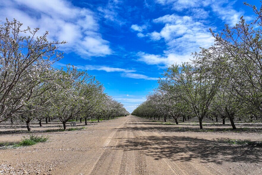More Photos Of Cerini Avenue, Cantua Creek Land For Sale