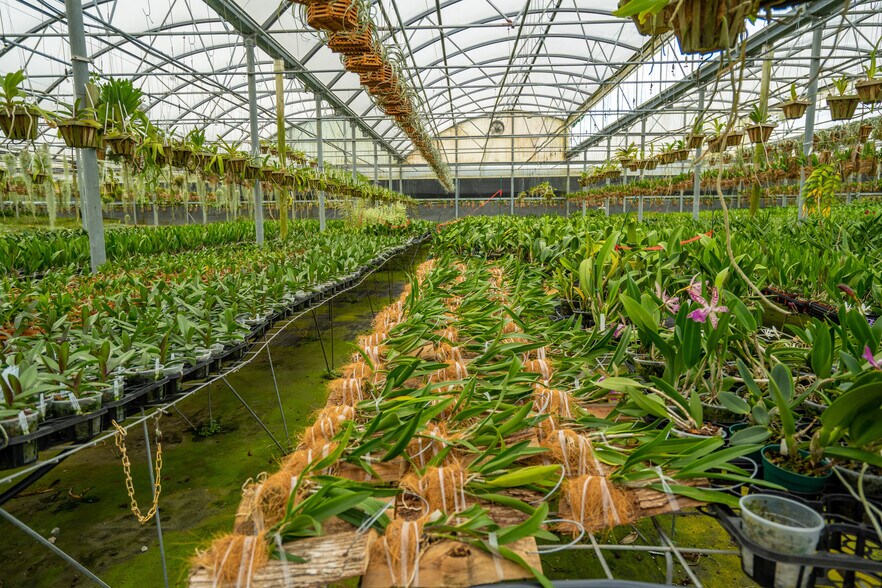 More Photos Of 19500 SW 240th St, Homestead Land For Sale