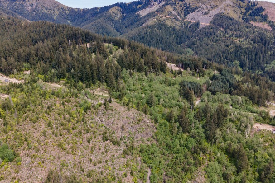 More Photos Of 0 Snag Mountain Road, Washougal Land For Sale