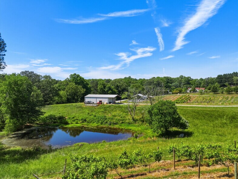 More Photos Of 2317 GA-382, Ellijay Winery Vineyard For Sale