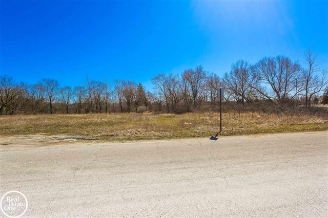 More Photos Of Meadowlawn Dr, Fort Gratiot Township Land For Sale