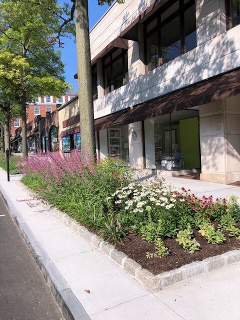 Primary Photo Of 45 E Putnam Ave, Greenwich Storefront Retail Office For Lease